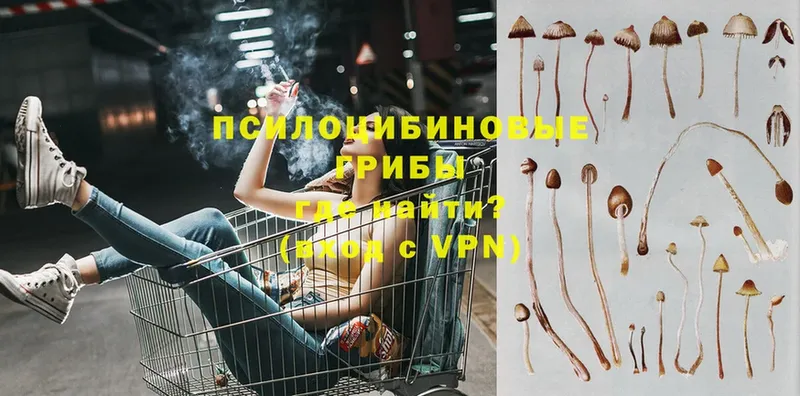 Псилоцибиновые грибы ЛСД  купить  сайты  Кизел 